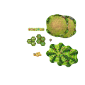 02950_150_02_png(1).png