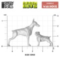 war-dogs-135 (2).jpg