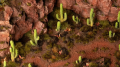 kaktusy27_png.png