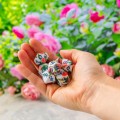 zestaw-kości-full-art-dice™-róże (2).jpg