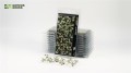 gamers-grass-laser-plants-bugloss (4).jpg