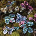 gamers-grass-laser-plants-alien-monstera (2).jpg