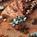 gamers-grass-laser-plants-blue-agave (5).jpg