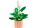 LEGO-11504-Botanicals-Skrzydlokwiat2.jpg