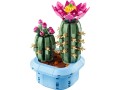 LEGO-11509-Botanicals-Kwitnacy-kaktus1.jpg