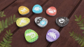 NS-promo4.png