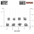 1000x-battlefield-resin-skulls-148-135 (2).jpg
