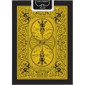 bicycle-rider-back-reverse-jaune-et-noir (1).jpg