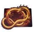dragon-6 (1).jpg