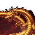 dragon-5.jpg