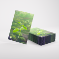 GGS15091ML-Forest-Shuffle-Premium-Art-Sleeves-0003.png