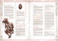 jedyny-pierscien-rpg-krolestwa-trzech-pierscieni_792x800_wnetrze2_webp.png