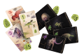 rebel-gra-strategiczna-first-giants-muzeum-paleontologiczne-asset2.png