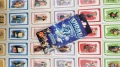 3282-VIRAL-c-1-1000x563.webp