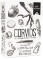 corvids-850056309004 (2).jpg