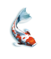 rebel-gra-strategiczna-koi-art2.png