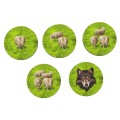 CARCASSONNE-EXPANSION-9-SHEEP-SHEPHERDS-ENGLISH-9__3558380131748-1.jpg