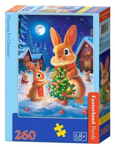 Puzzle 260 Preparing for Christmas