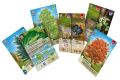 rebel-gra-karciana-lesne-rozdanie-smoky-mountains-asset2.png