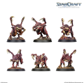 StarCraft Zerg - Starter Set (4).png
