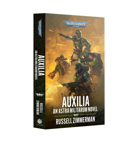 auxi.jpg
