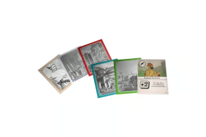 An Infamous Traffic: Second Edition - Card Sleeves