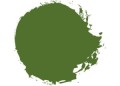 Loren-Forest-300x215.jpg