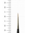 raphael-8404-2-0-kolinsky-sable-penseel.jpg