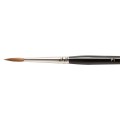 BRS84042.JPG