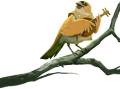 rebel_everdell_minstrel.png