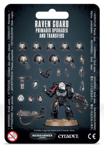 raven_1.JPG
