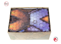 Screenshot_2019-11-06 e-Raptor Insert Gloomhaven + Forgoten 16.png