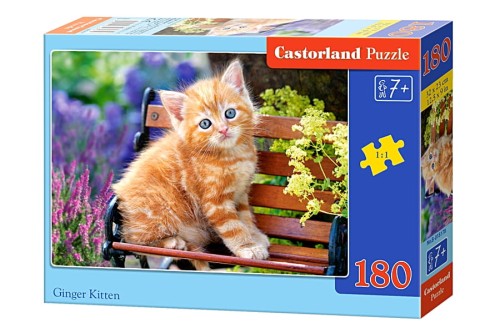 018178-box.jpg