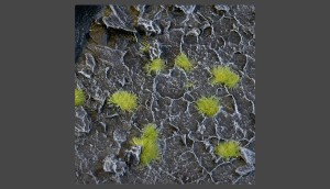 Gamer's Grass Tiny Light Green (2mm)