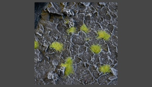 2mm-light-green-tiny-tufts.jpg