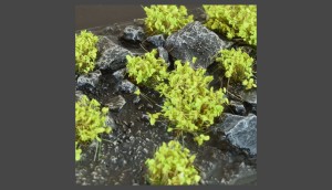 Gamer's Grass Green Shrubs Wild (6mm)