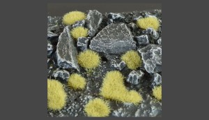 Gamer's Grass Beige Wild (2mm)