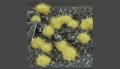 4mm-beige-tufts.jpg