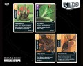UMD RHBF promo 3 karty.jpg