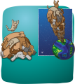 rebel-dodatek-eksplodujace-kotki-szczekajace-kotki-art4_png.png