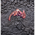 smocze-jajo2x_jpg(1).png