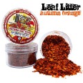 leaf-litter-natural-leaves-autumn-orange.jpg