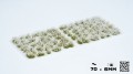 pol_pl_White-Flowers-20587_1.jpg