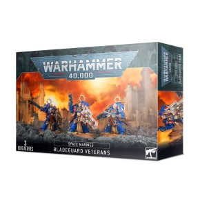 Space Marines: Bladeguard Veterans (Warhammer 40,000) 