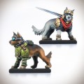 animal-companions1.jpg