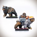animal-companions9.jpg