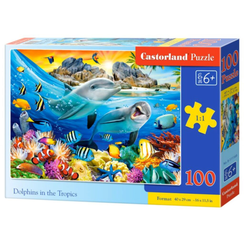 dolphins(1).png
