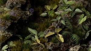 Gamer's Grass: Laser Plants - Elephant Ear (Kolokazja)