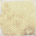 mata-suchoscieralna-papirus-12x2.jpg