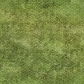 mata-suchoscieralna-trawa2x.jpg